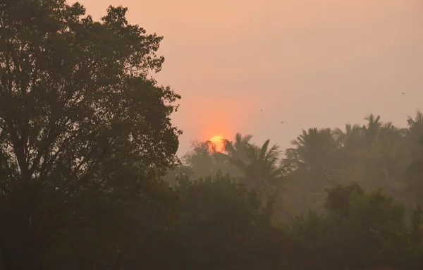 Sunrise on the mist — Stock Photo, Image