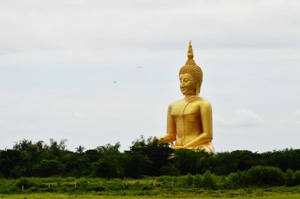 Wielki złoty Budda na polu — Zdjęcie stockowe