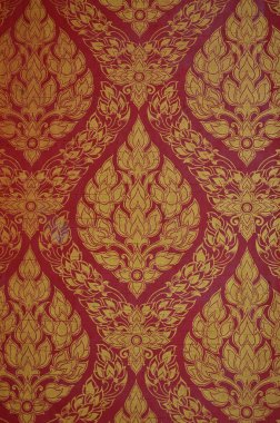 Duvardaki Tay boyama