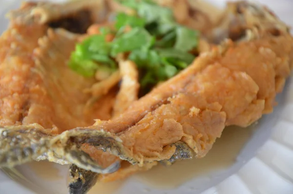 Bar frit en sauce de poisson — Photo