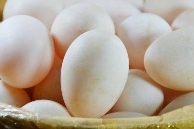 ördek yumurta sepeti