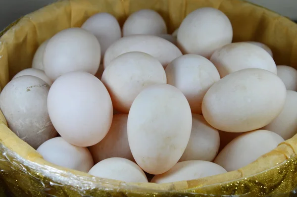 Weißes Ei im Korb — Stockfoto