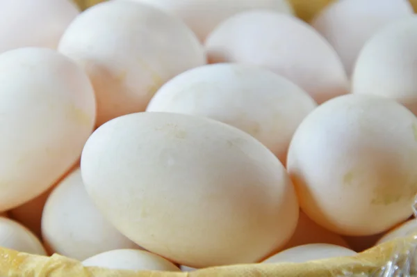 Weißes Ei im Korb — Stockfoto