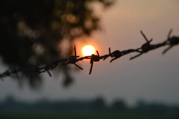 Zonsopkomst achter barb wire — Stockfoto