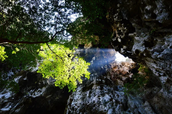 Sollys gennem hulen hul - Stock-foto