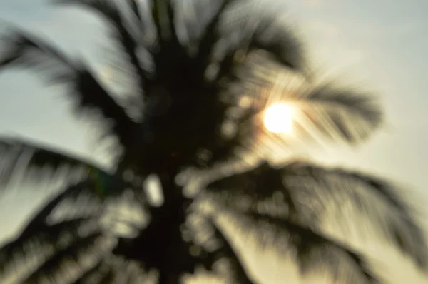 Blurry coconut tree and sun — Stock Photo, Image