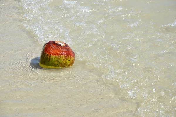 Kokos på stranden — Stockfoto