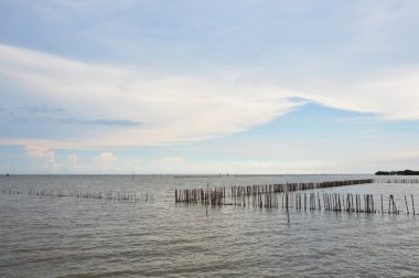 Deniz ahşap direğe