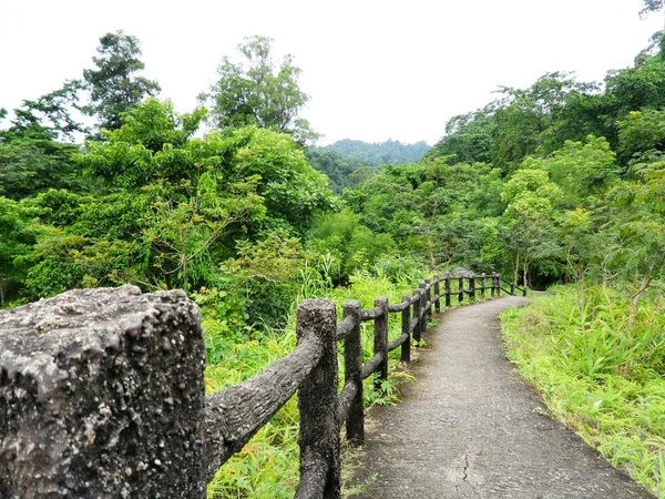 Sentier pédestre sur la montagne — Photo