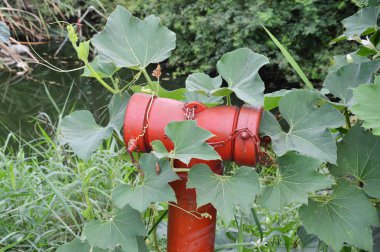 kuru saman üzerinde video kaydedici