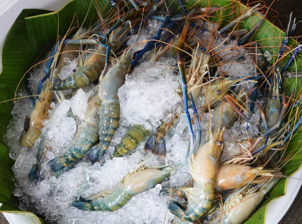 Udang raksasa di atas es di pasar — Stok Foto