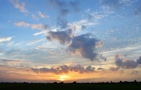 Zachód słońca w dziedzinie Kajaki — Zdjęcie stockowe
