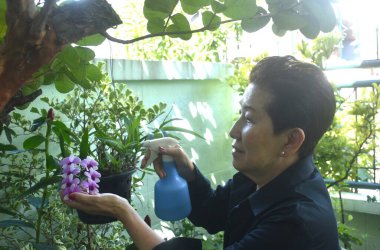 Yaşlı kadın ev bahçesinde çiçek ve bahçe sulamayı sever.