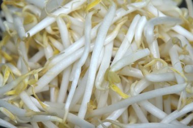 Taze fasulye filizi çiğ yiyecekler kasede pişirmeye hazır olun.  