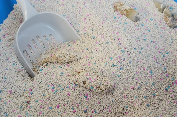 Cat litter and dustpan — Stock Photo, Image