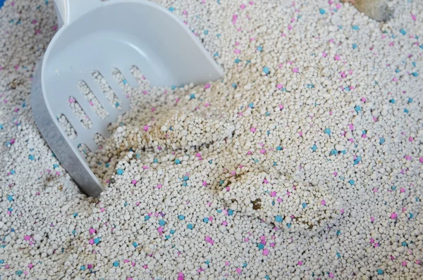 Cat litter and dustpan in use — Stock Photo, Image