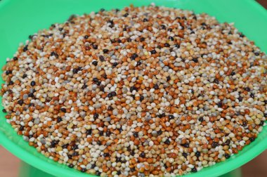 kuş gıda ağırlık ölçekte