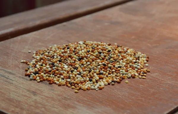 Vogel voedsel op tafel — Stockfoto