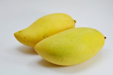Mango olgunlaştırmak beyaz arka plan üzerinde
