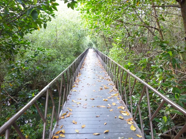 Long bridge in the park — Stock Photo, Image