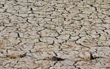 toprak sahada çatlamak
