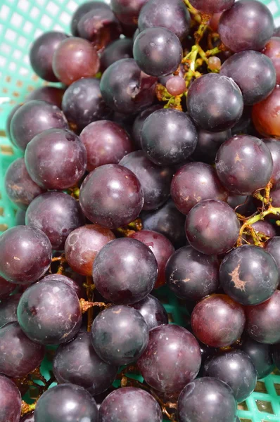 Rote Trauben im Korb — Stockfoto