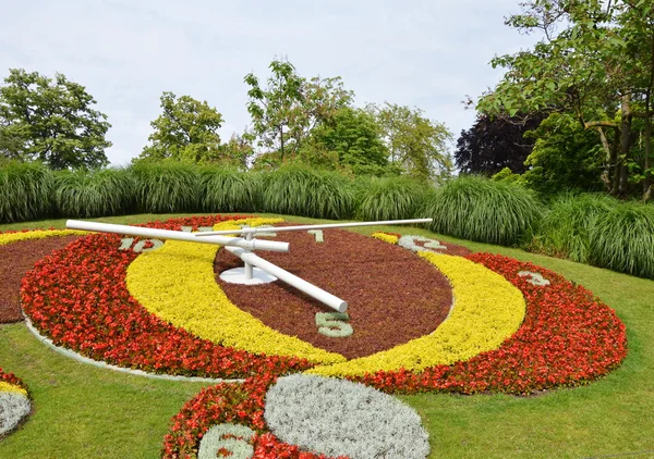 Jadin anglais bir çiçek İsviçre'nin Cenevre saat