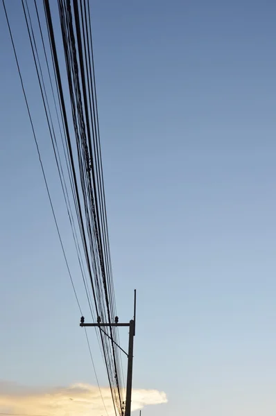 Electric pole on sunset — Stock Photo, Image