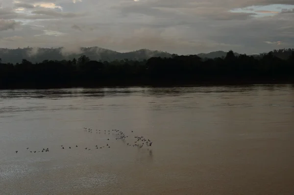 Kuşlar uçmak ev günbatımı üzerinde Nehri sürüsü — Stok fotoğraf