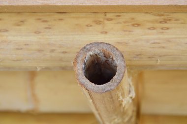 Bambu zemin dokusu Thai house