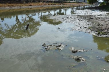 Kanal Tayland kurutmak