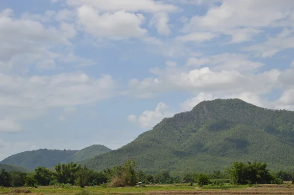 Montanha e arrozal na Tailândia — Fotografia de Stock