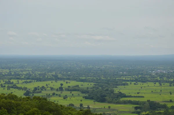 Landschaft Thailands kultivieren — Stockfoto