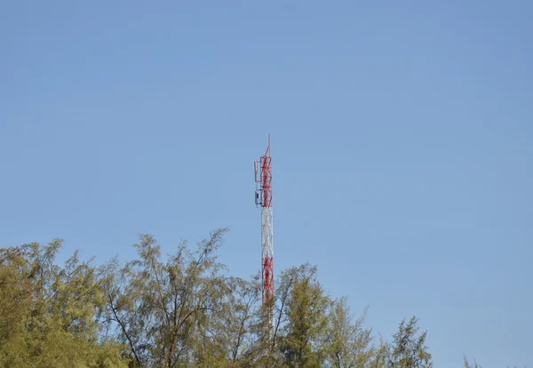 Telekomunikační stožár za borovice — Stock fotografie