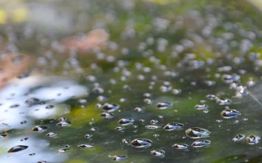 araba cam ön cam su damlasına