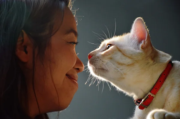 kadın ve kedi göz sözleşme birlikte