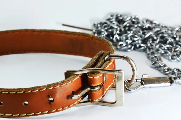 Dog leather collar and lead chain — Stock Photo, Image