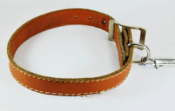 Collar de cuero marrón perro y cadena de plomo —  Fotos de Stock