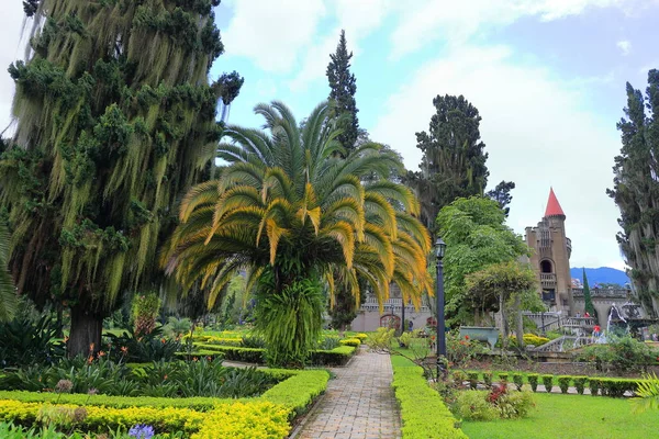 Medellín Antioquia Colombia Hermosa Vista Aire Libre Del Parque Jardín —  Fotos de Stock