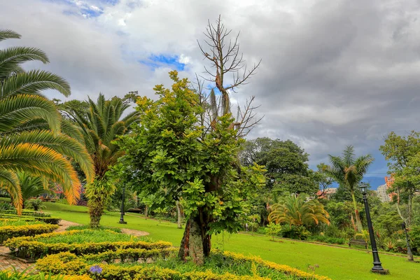 Medellin Antioquia Colombia Beautiful Outdoor View Park Garden Gothic Museo — Stock Photo, Image