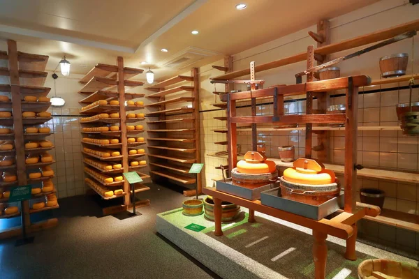 Traditional Cheese factory production. Shelves with aging cheese