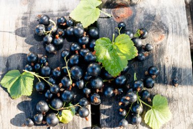 Blackcurrant ahşap masalar üzerinde