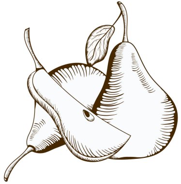 Bir çift armut. Yapraklı armut. Bir dilim armut..