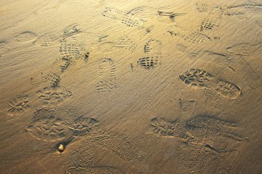 Sahilde ayak izleri.