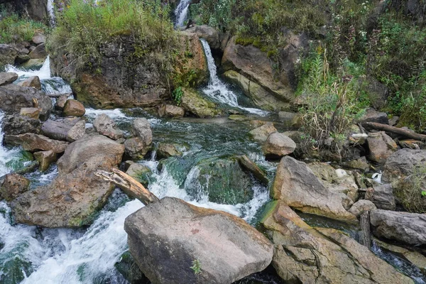 Ruisseau Rapide Est Plein Plantes — Photo