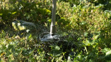 Fıskiyeler çimenlere su püskürtüyor.