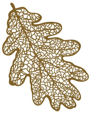 Meşe yaprağı