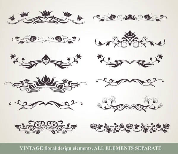 Éléments de design floral — Image vectorielle