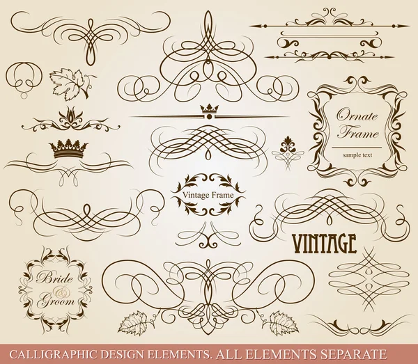 Calligraphic design elements. — Stock Vector