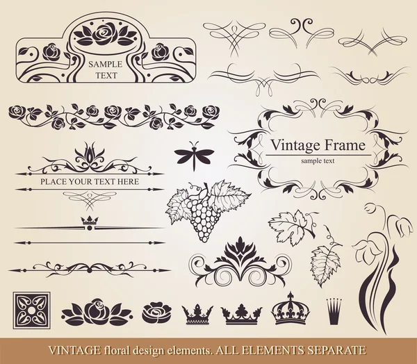 Calligraphic design elements. — Stock Vector